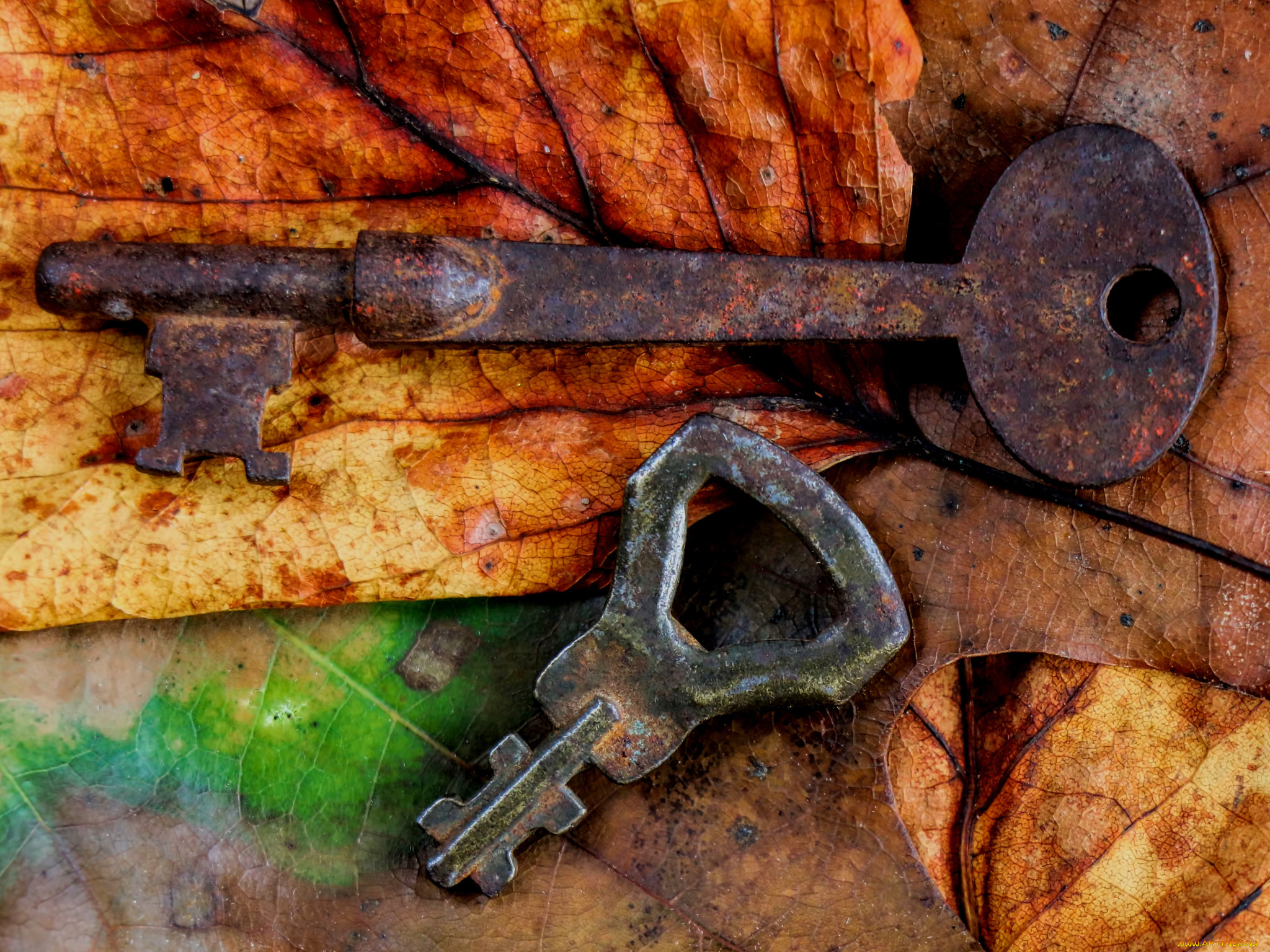 Keys picture. Красивые ключи. Старинный ключ. Красивый старинный ключ. Потеря ключей.